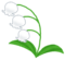 flower_suzuran[1].png